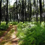 Au P'tit Creux Des Landes Ychoux
