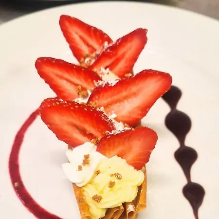 酒店 奥佩蒂科雷克斯兰德斯酒店
