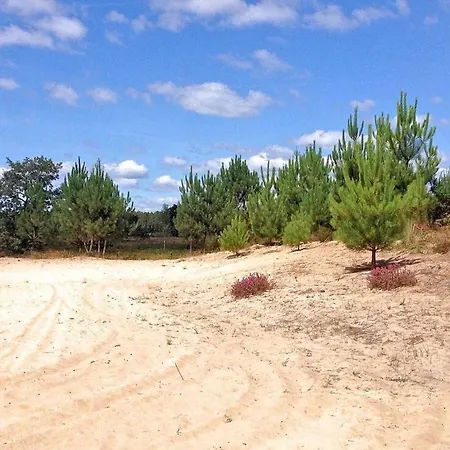 Hotel Au P'tit Creux Des Landes Ychoux