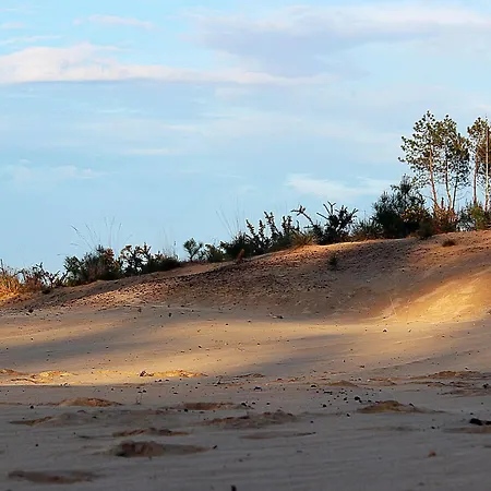 Au P'tit Creux Des Landes 2*