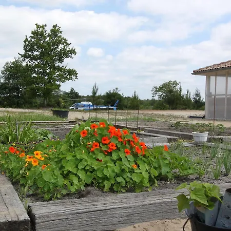 Hotel Au P'tit Creux Des Landes 2*