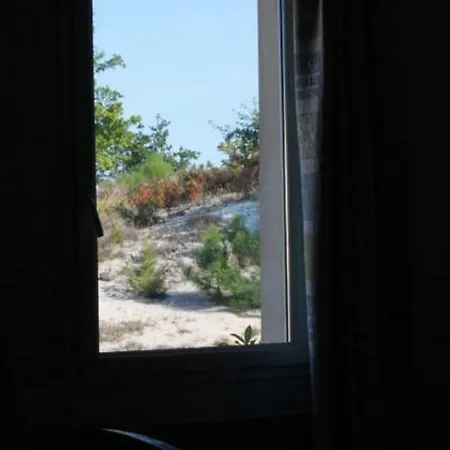 Au P'tit Creux Des Landes Hotel Ychoux